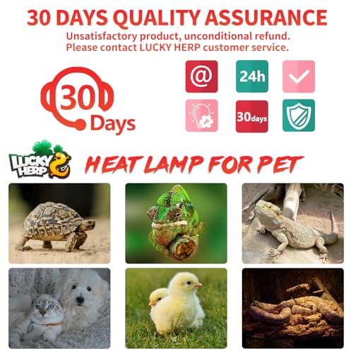 LUCKY HERP Reptile Heat Lamp - 75W Ceramic Heat Emitter Reptile Heat Lamp Bulbs (1 Pack), No Light Ceramic Heat Bulb, Heat Lamp for Reptiles Amphibian Chicken Pet Brooder Coop Lizard Turtle - color: Ceramic Heat Emitter, size: 75W 1-Pack