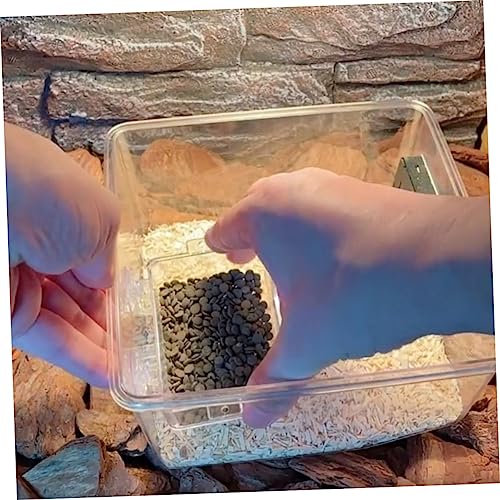 Crested Gecko Food Dish Escape Feeder Suction Cup for Reptile Habitat Accessories