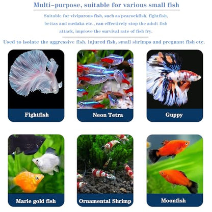 WEAVERBIRD Aquarium Fish Breeder Box, Acrylic Square Isolation Hatchery | Fish Isolation Breeding, Hatching Incubator, For Baby Fish Shrimp Clownfish Guppy - size: Square