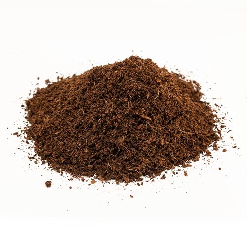 Zoo Med Eco Earth Loose Coconut Fiber Substrate | For Reptiles, For Amphibians, For Small Animals, For Insects, For Terrariums - size: 8 quart