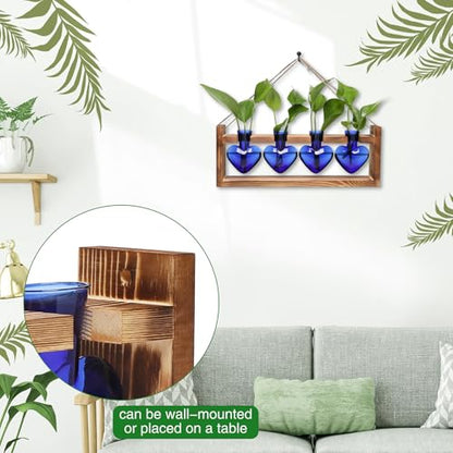 Plant Propagation Stations Heart Plant Terrarium Kit | Gift for Women Plant Lover Glass Vases - color: Blue