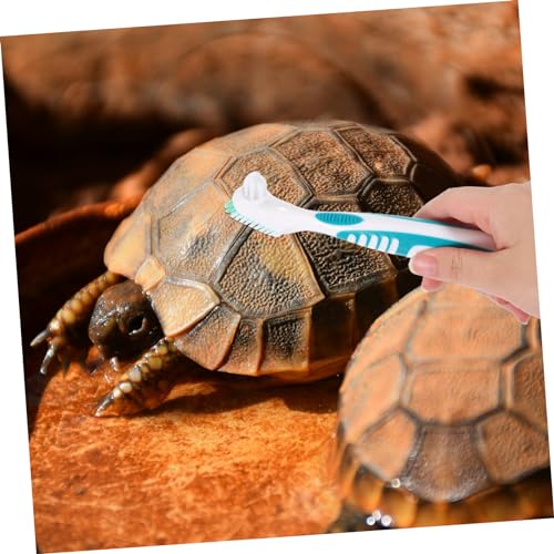 balacoo 2pcs Turtle Supplies Turtle Shell Cleaning Brush Tortoise Shell Mud Clean Brush for Fish Tank Reptile Terrarium - color: Multi