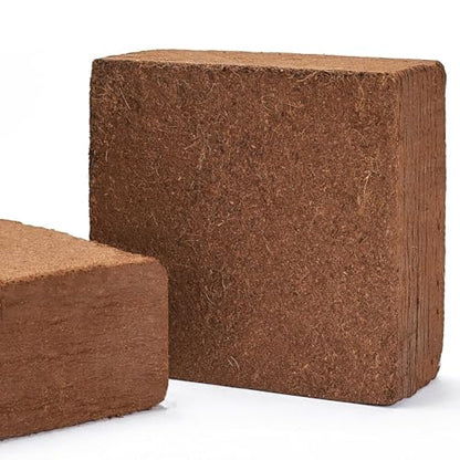 Mycelium Coco Coir Brick Mushroom Growing Kit I Expandable Organic Coconut Fiber Substrate I Indoor Mushroom Cultivation for Starter & Pro Home Growers I OMRI Certified & Non-GMO, 10lbs - style: Mushroom Cultivation