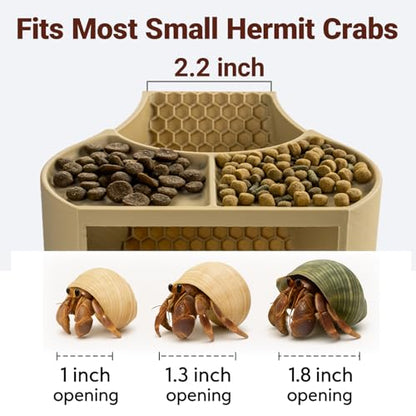 Hermit Crab Habitat Shelter with Dual Food Bowls, 2-in-1 Cave Shelter & Feeding Dish, Textured Climbing Ramp & Viewing Window, Hermit Crab Accessories for Habitat & Tank Setup (Sand) - color: Sand