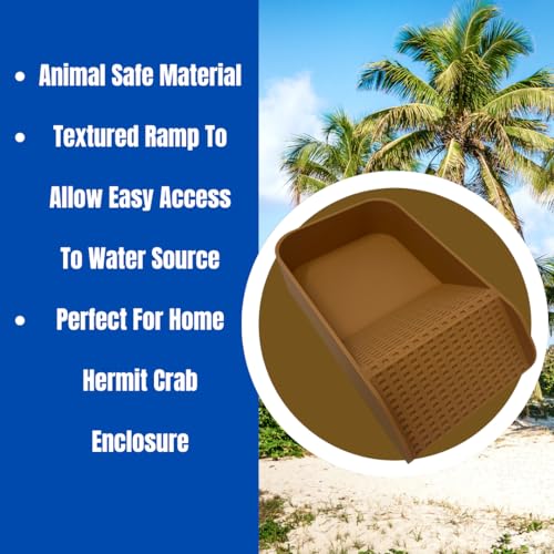 Hermit Crab Watering Pool | Platform Pool Accessory with Access Ramp for Hermit Crabs | 6.5" x 4" | Made in USA (Fresh Only, Tan) - color: Fresh Only, Tan