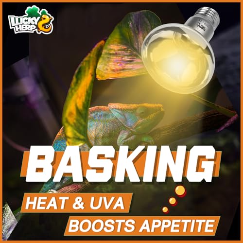 LUCKY HERP Heat Lamp Bulbs, UVA Intense Basking Spot Light Reptile Heat Lamp(Clear) 100W, Simulated Natural Sunlight Heat Lamp Bulbs for Reptile, Bearded Dragon, Amphibian, Turtle, Snake, Lizard - color: Clear Reptile Heat Lamp, size: 100W 1-Pack