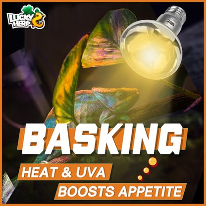 LUCKY HERP Heat Lamp Bulbs, UVA Intense Basking Spot Light Reptile Heat Lamp(Clear) 100W, Simulated Natural Sunlight Heat Lamp Bulbs for Reptile, Bearded Dragon, Amphibian, Turtle, Snake, Lizard - color: Clear Reptile Heat Lamp, size: 100W 1-Pack