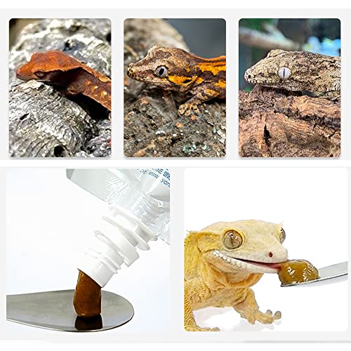 2Pcs Crested Gecko Feeding Spoon, Reptile Powder Food Mixing Spoon | Food Grade Mini Spatula, Soft Tip for Powder Fruit Mixing, Fits Gecko Lizard Bearded Dragon Reptile - size: 0.5 Ounce (Pack of 2)