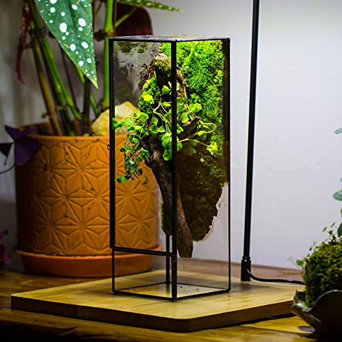 NCYP Closed Glass Terrarium with Door - 3.9x3.9x11.8 Inches Rectangular Tall Planter Box for Fern, Succulent Plants, Home Garden Tabletop Decor, Handmade (Terrarium Only) - size: 3.9x3.9x11.8 inches