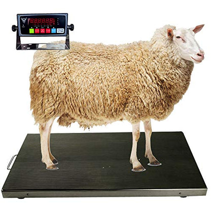 PEC Livestock Animal Scale/Farm Animal Scales for Weighing Small to Medium Sized Animals, Lamb, Goat, Sheep, Pigs, hogs, Donkey, Calf, Digital Indicator Included, Capacity 700lbs (44" x 22") - style: 44" x 22"
