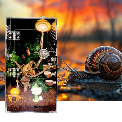 Spider Terrarium Kit, Jumping Spider Enclosure with Hideout, Rope Bridge, Ledge Ladder, Micro Habitat Terrarium for Small Tree Dwelling Reptiles, Arboreal Tarantula Enclosure (6x6x12 Inches) - size: 6x6x12 Inches