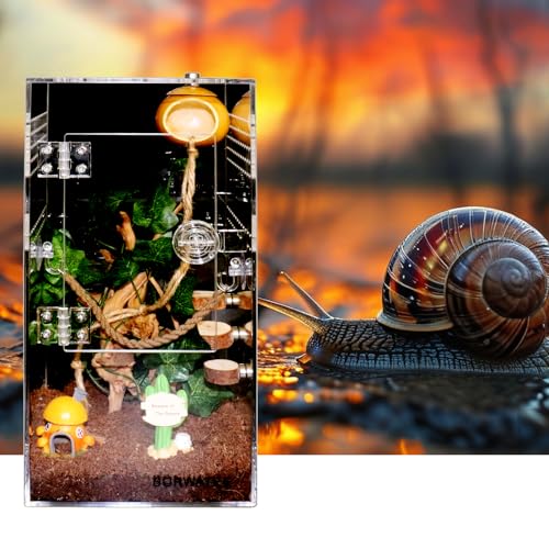 Spider Terrarium Kit, Jumping Spider Enclosure with Hideout, Rope Bridge, Ledge Ladder, Micro Habitat Terrarium for Small Tree Dwelling Reptiles, Arboreal Tarantula Enclosure (6x6x12 Inches) - size: 6x6x12 Inches