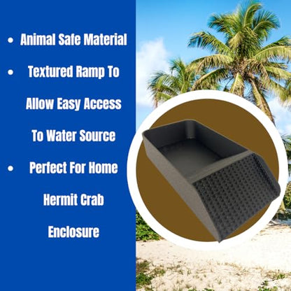 Hermit Crab, Lizard, Turtle, Amphibian XL Watering Pool | Platform Pool Accessory with Access Ramp for Pet Habitats | 9.75" x 5" | Made in USA (X-Large) (Salt Only, Black) - color: Salt Only, Black