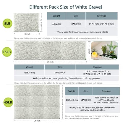 5 LB White Gravel 0.5 Inch Pebbles for Plants & Aquarium | White Gravel for Plants, Succulents, Cacti, Aquariums, Fish Tanks, Vases, Landscaping & Indoor Decorative
