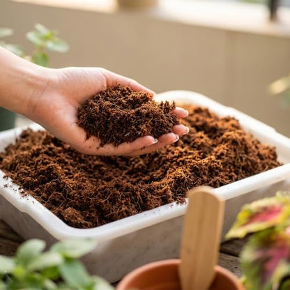Coco Coir Brick - Low EC & pH Balanced, Compressed Organic Coconut Fiber Potting Mix for Indoor Outdoor Plants, Seed Starting, Hydroponics & Reptile Bedding(2.8lb) - size: 2Pcs