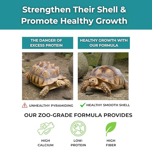 Baby Sulcata Food with Calcium - Human Grade Scientifically Formulated Diet for Healthy Growth - 4.5 oz 30-Day Supply for All Grassland Tortoises! - size: 4.5 Ounce (Pack of 1)