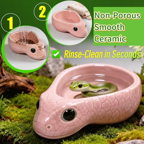 Reptile Water Dish, Ceramic Snake Water Bowl, Pink | For Snake, Leopard Gecko, Bearded Dragon and Lizard, Bathing Pool, Food Feeding Dish, Terrarium Tank Accessories - color: Pink
