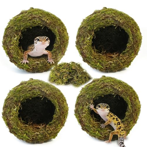 4pcs Crested Gecko Hide,Reptile Mossy Caves Hideout,Leopard Gecko Humid Hide,Natural Moss Cave Hiding Decor Tank Accessories for Reptiles, Amphibians,Invertebrates,Lizard,Frog