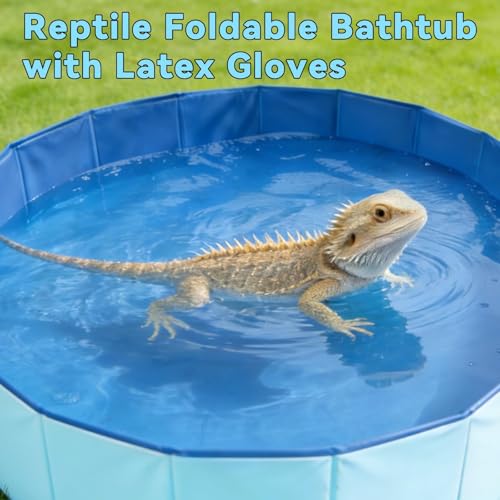 Foldable Bearded Dragon Pool Bathtub, Reptile Bath Pool Bearded Dragon Swimming Pool with Brush Gloves Reptile Accessories Swimming Pool for Turtle Lizard Small Pets - size: Reptile Pool