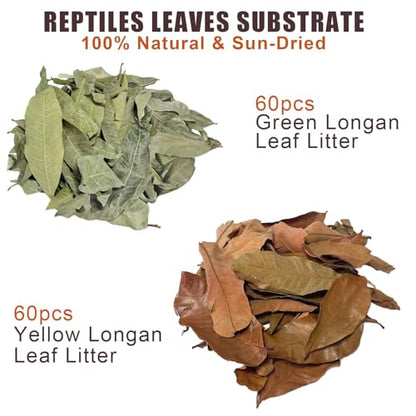 120PCS Dry Longan Leaf Litter for Reptile,Natural Turtle Longan Leaf Litter,Isopod Live Leave Terrarium Substrate Bedding,Tortoise Tank Leaves Decor for Snake,Gecko,Spider,Betta Fish (120PCS)