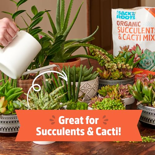 Back to the Roots 100% Organic Succulent & Cacti Mix (6 Quart) | Made in the USA | Premium Nutrition for Indoor and Outdoor Plants - size: 6 Quart, style: Suculent & Catcti Blend