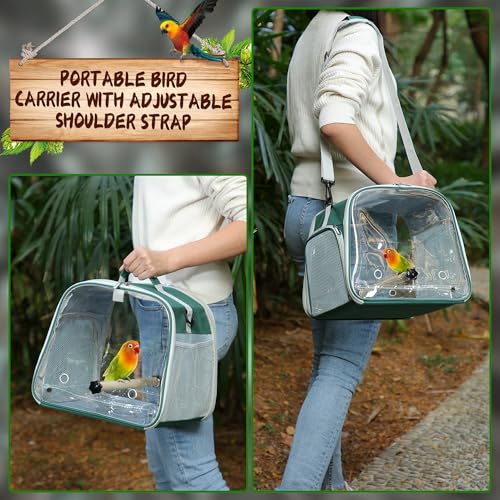 Small Bird Carrier, Large Window Travel Cage with Stand and Easy Clean Tray for Parrot Parakeet Cockatiels, Lightweight and Portable, Green - color: Green