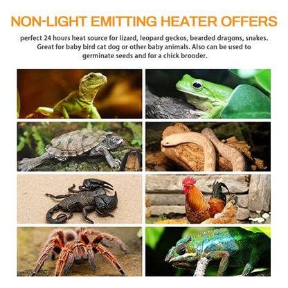 Simple Deluxe 150W 2 Pack Ceramic Heat Emitter, Non-Light Emitting Heat Lamp for Amphibian Pet Terrariums, Chameleons, Lizards, Snakes, and Incubating Chickens White - size: 150 W, style: 2-Pack