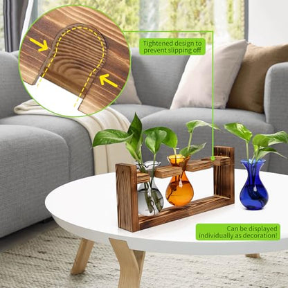 Plant Propagation Station Plant Terrarium Unique Birthday Gifts for Women | Plant Lovers Home Office Decor Planter with Wooden Stand - 3 Bulb Glass Vase