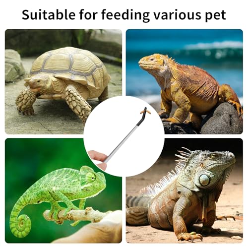 Novery 2PCS 10.6" Rubber Tip Reptile Feeding Tongs, Straight & Curved | Soft Non-Scratch Tips, For Bearded Dragon Snakes, Aquarium Terrarium Enclosure & Craft Tools, Tank Accessories