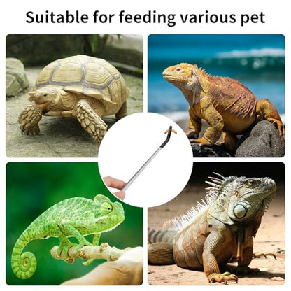 Novery 2PCS 10.6" Rubber Tip Reptile Feeding Tongs, Straight & Curved | Soft Non-Scratch Tips, For Bearded Dragon Snakes, Aquarium Terrarium Enclosure & Craft Tools, Tank Accessories