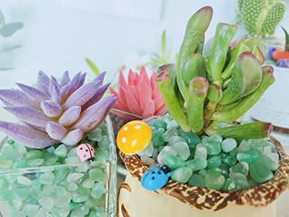 ZHIYUXI Green Aventurine Crystal Chips Fish Tank Gravel Vase Filler Stones Crushed Crystals Gemstone Polished Healing Crystals Natural Quartz Stone 0.44lbs - color: F# Green Aventurine, size: 0.44 Pound