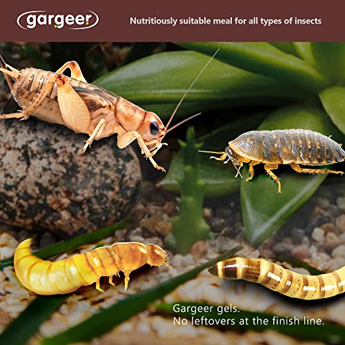 Gargeer 3oz Bugs & Insects Gel. for Roaches, Crickets & Worms, Made in USA | Expert-crafted, filler-free gourmet nutrition for thriving insects. Because a healthier bug means a healthier pet! - size: 3 Ounce (Pack of 1)
