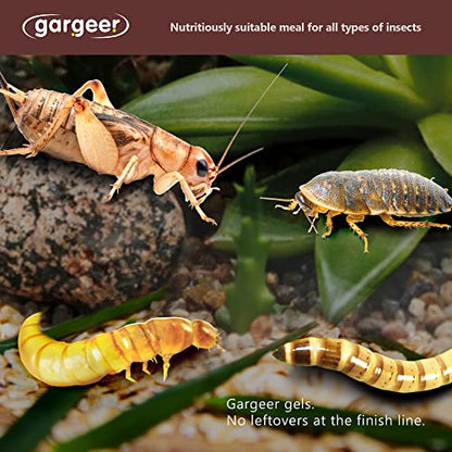 Gargeer 3oz Bugs & Insects Gel. for Roaches, Crickets & Worms, Made in USA | Expert-crafted, filler-free gourmet nutrition for thriving insects. Because a healthier bug means a healthier pet! - size: 3 Ounce (Pack of 1)