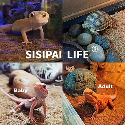 Reptile Carpet Coconut Fiber, 36" x 18" Reptile Terrarium Substrate Liner, Tortoise Bedding Carpet Mat Supplies for Pet Lizard, Chameleon, Bearded Dragon, Leopard Gecko, Iguana