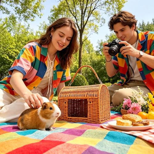 Reptile Carrier for Travel with Handle Sleeping House | All Season Washable Rattan Bird Carrier Travel Cage for Lizard Leopard Gecko Spider Tortoise Snake Bunny