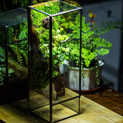 NCYP Closed Glass Terrarium with Door - 3.9x3.9x11.8 Inches Rectangular Tall Planter Box for Fern, Succulent Plants, Home Garden Tabletop Decor, Handmade (Terrarium Only) - size: 3.9x3.9x11.8 inches