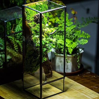NCYP Closed Glass Terrarium with Door - 3.9x3.9x11.8 Inches Rectangular Tall Planter Box for Fern, Succulent Plants, Home Garden Tabletop Decor, Handmade (Terrarium Only) - size: 3.9x3.9x11.8 inches