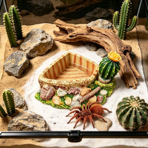 Reptile Food Water Dish, Aquarium Reptile Feeding Dish Bowl for Tortoises Turtles Lizards, Perfect for Gecko, Bearded Dragon, Snake, Frog, Ball Python
