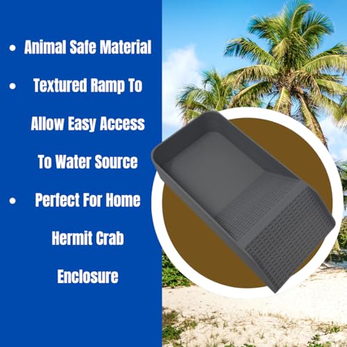Hermit Crab, Lizard, Turtle, Amphibian XL Watering Pool | Platform Pool Accessory with Access Ramp for Pet Habitats | 9.75" x 5" | Made in USA (X-Large) (Salt Only, Gray) - color: Salt Only, Gray