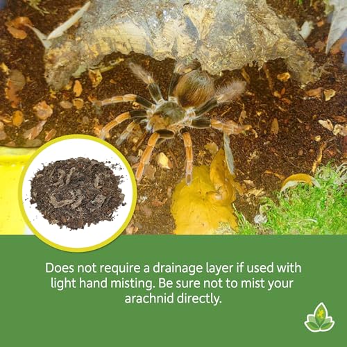 Josh's Frogs Arachnid BioBedding Bioactive Substrate (1 Quart) - size: Extra Small