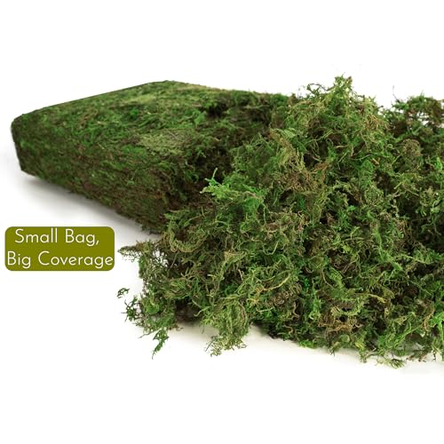 7OZ Moss for Plants Indoor, Natural Looking Faux Grass for Crafts, Terrariums, Fairy Gardens, Floral Arrangements - Artificial Spanish Moss Alternative for Home Decor (200g) (Fresh Green)