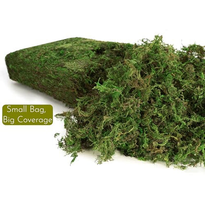7OZ Moss for Plants Indoor, Natural Looking Faux Grass for Crafts, Terrariums, Fairy Gardens, Floral Arrangements - Artificial Spanish Moss Alternative for Home Decor (200g) (Fresh Green)