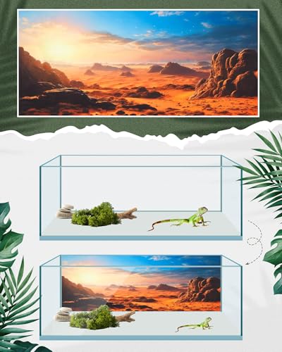 4 Pcs 71 x 18 Inch Reptile Habitat Background with Nano Glue Gobi Sun Cactus Stone and Green Tree Fern Stream Terrarium Background Polyester Durable Aquarium Accessories - color: Style1, size: 71 x 18 Inch