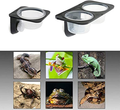 N/W Plastic Reptiles Feeder Single Double Feeding Bowl Food Water Dish Insects Spider Breeding Pots Suction Cup (Simple Lattice)