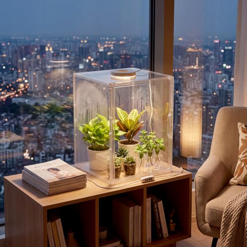 Novabright Mini Greenhouse Indoor with Grow Light Clear Acrylic Plant Cabinet, Tabletop Indoor Greenhouse Kit DUSB White & Warm Light for Succulents, Herbs (Without Dividers)