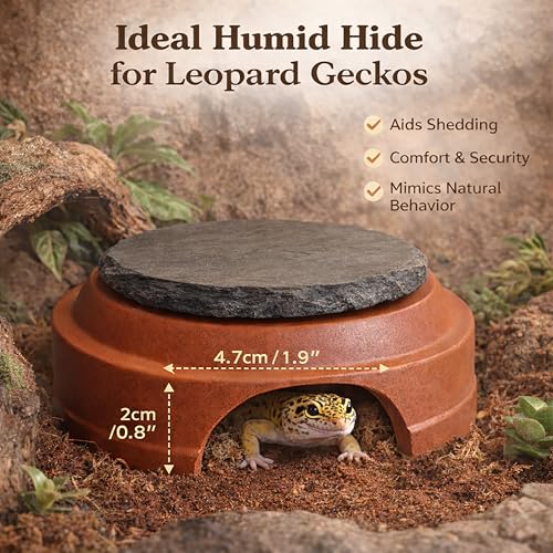Ceramic Reptile Hide with Removable Slate Basking Platform, Humid Hide Cave for Leopard Gecko, Small Lizards, Snakes & Terrariums