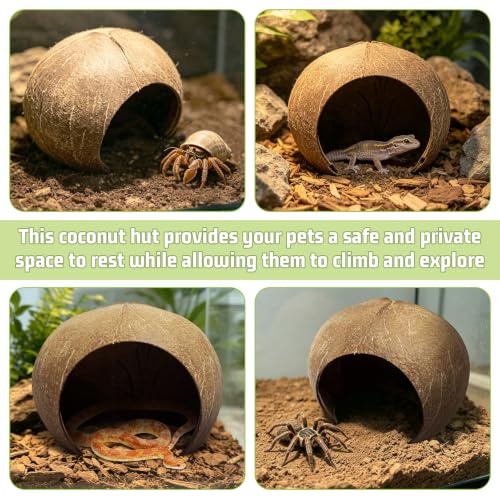 PINVNBY Large Natural Coconut Reptile Hideouts Lizard, Coco Hut Hermit Crab Hut Aquarium Fish Hide Cave for Small Reptile Crested Gecko Leopard Gecko Spider Snail Climber Toys - size: Extra Large Size, 1 PCS