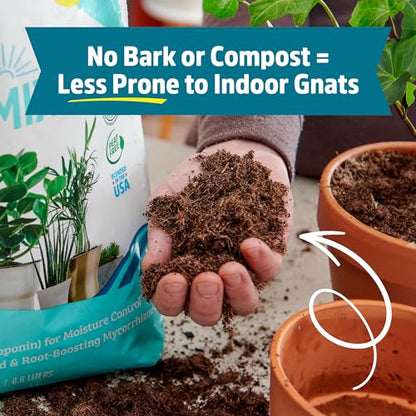 Back to the Roots 100% Organic Indoor Potting Mix (Value 12 Quart) | Promotes Healthy Houseplant Growth| Made in The USA - size: 12 Quart, style: Indoor Soil