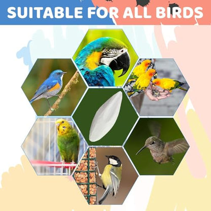 3.9-4.5'' Cuttlebone for Parakeets Cuttlebone for Birds - 100% Natural Cuttlefish Bone Bulk Chew Toy Bird Bites Calcium Stone for Canaries Tortoises,Snails,Reptiles,Parrots,Cockatiel-30PCS - size: 30PCS