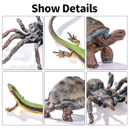 14PCS Reptile Animal Figurines Toys Desert Amphibians Sand Toys for Kids 3+ | with Axolotl,Lizard,Snake,Spider,Komodo Dragon,Alligator,Rainforest Cold Blooded Plastic Animals Figures Party Favors - style: 14PCS Reptile Animals-1